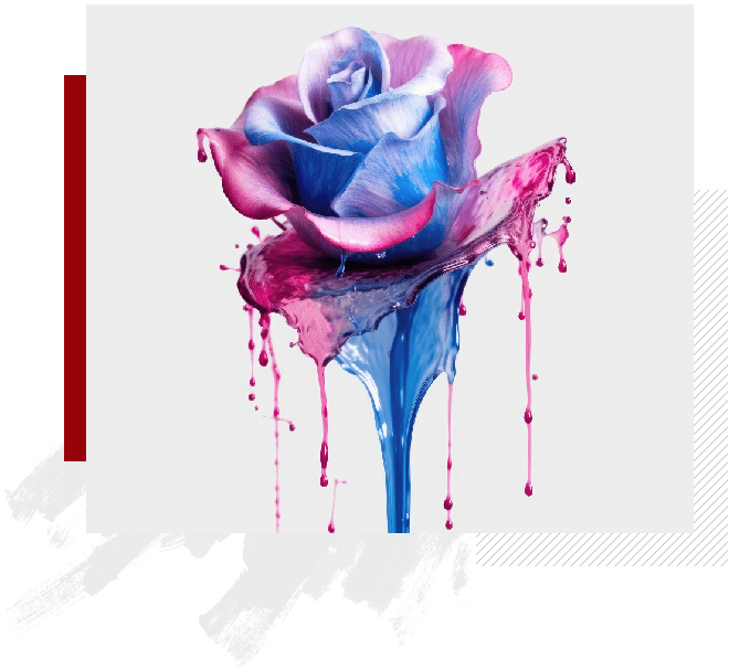 A blue and pink rose with dripping paint.